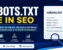robots.txt file