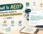 What is Answer Engine Optimization